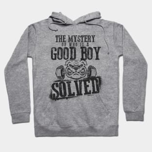 The Mystery of Who is a Good Boy Solved Hoodie